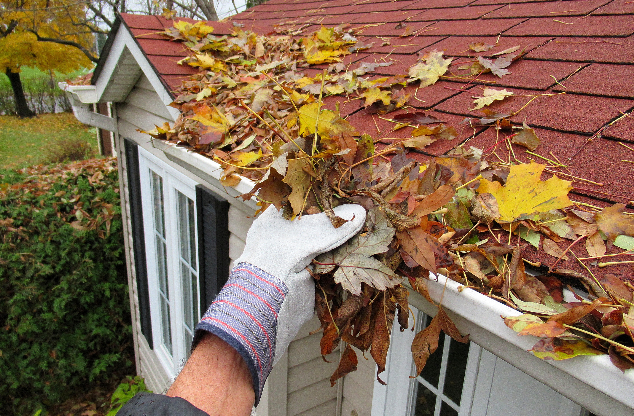divi-handyman-img8